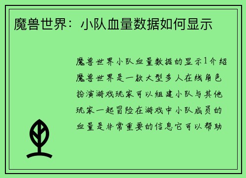 魔兽世界：小队血量数据如何显示